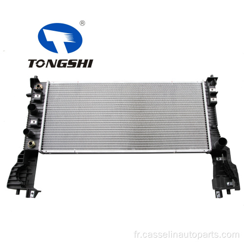 Radiateur en aluminium de vente entière pour Ford OEM GT4Z-8005-A